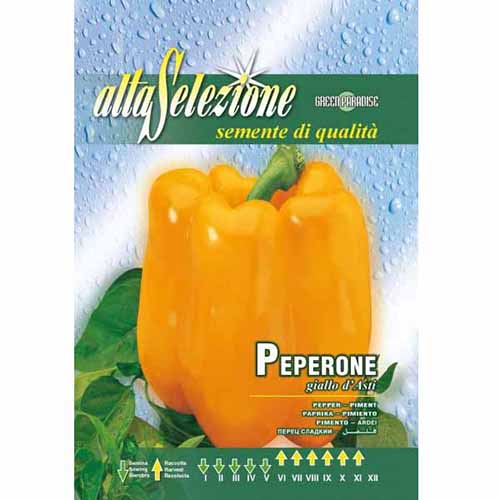 1 szt, Papryka słodka Giallo d'Asti Morami - Nasiona: Ilość w opakowaniu: 1.5 g