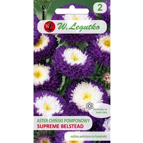 1 szt, Aster pomponowy Belstead Supreme - Nasiona: Ilość w opakowaniu: 0.5 g