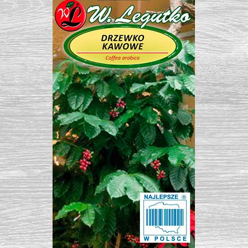 1 pac, Arbore de cafea Legutko - Semințe: Mod de ambalare: 1.5 g