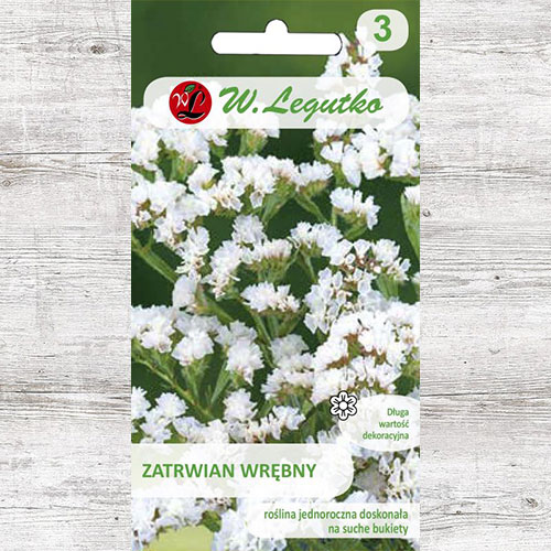 1 pac, Limonium sinuatum (Sărăturică) alb Legutko - Semințe: Mod de ambalare: 0.3 g