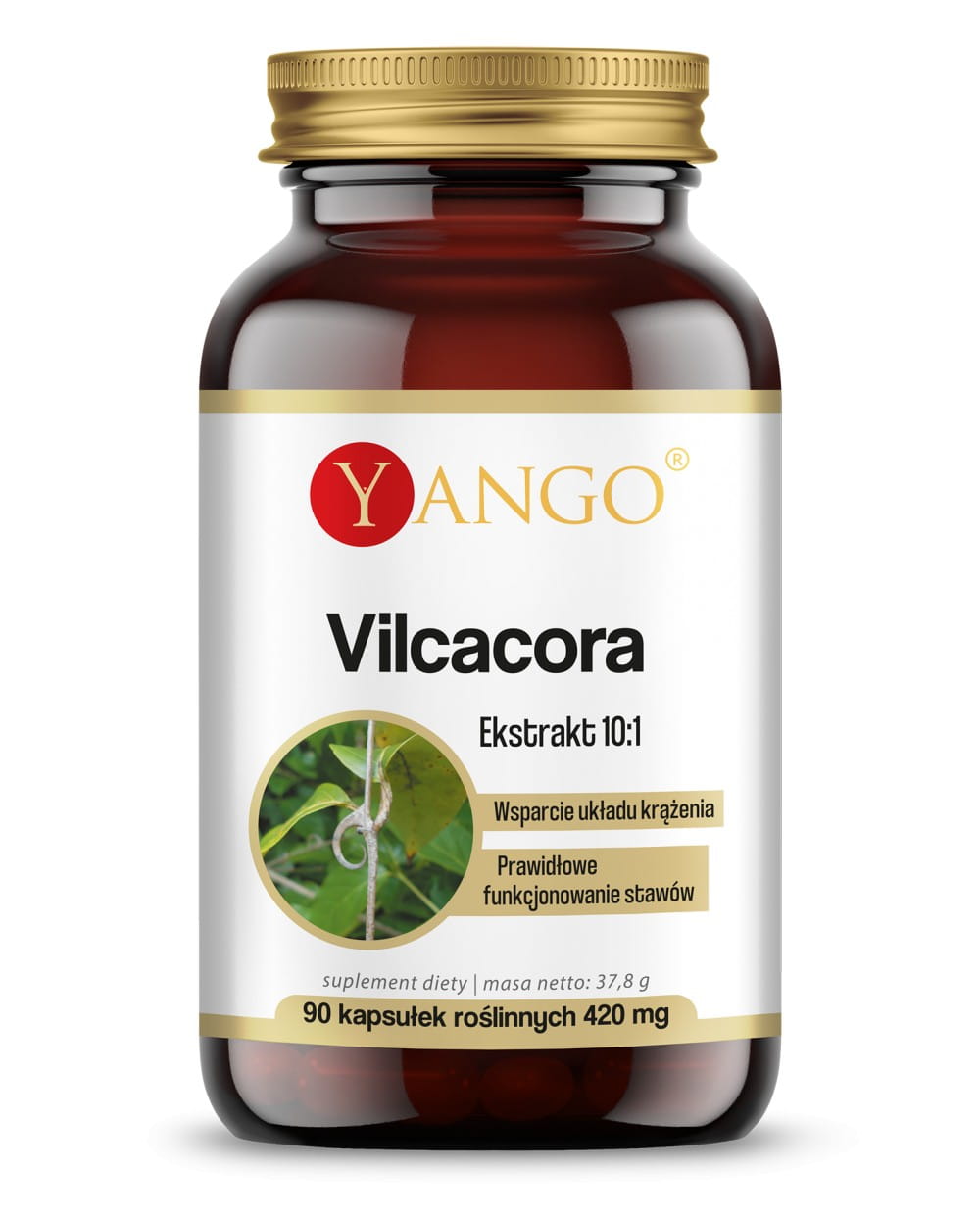 Vilcacora extrakt 10:1 90kaps. Yango