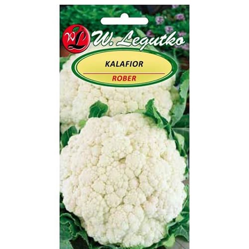 1 szt, Blumenkohl Rober - Samen: Ilość w opakowaniu: 1 g