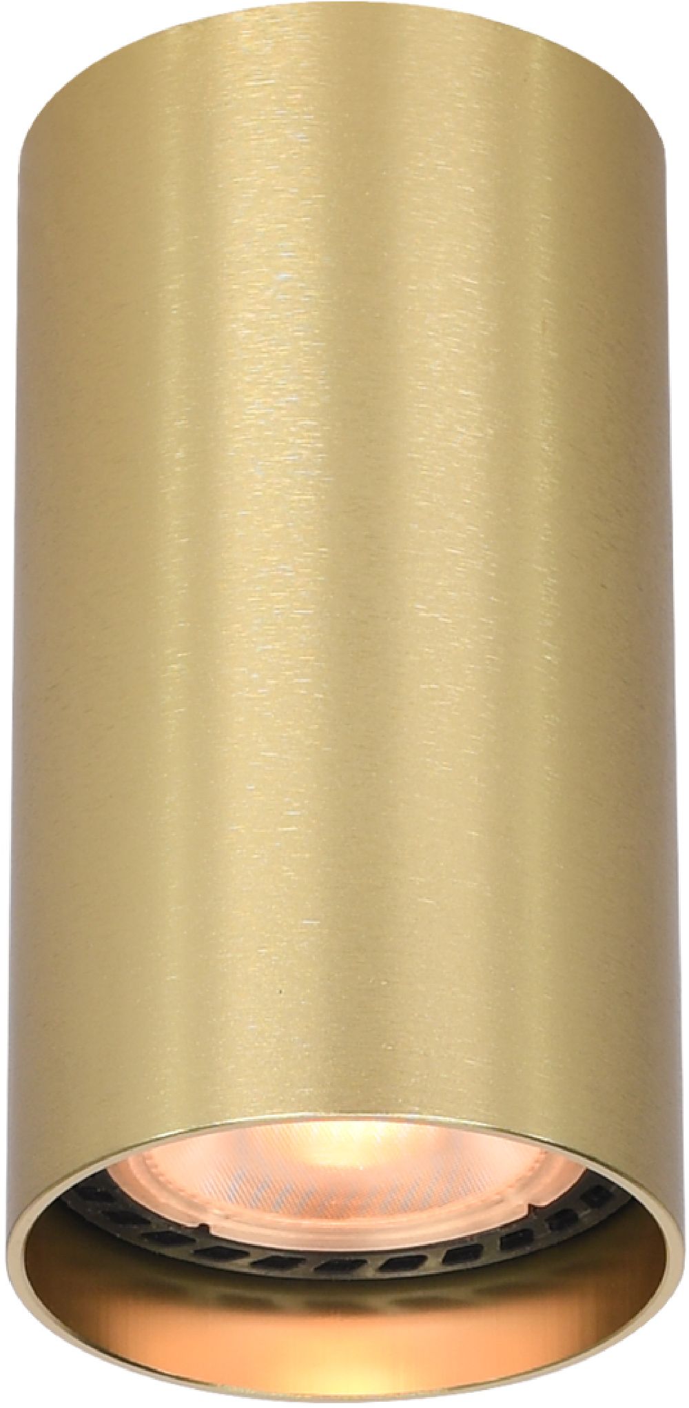 Italux Lopus lampa podsufitowa 1x10 W złota CLN-48930-S-GD