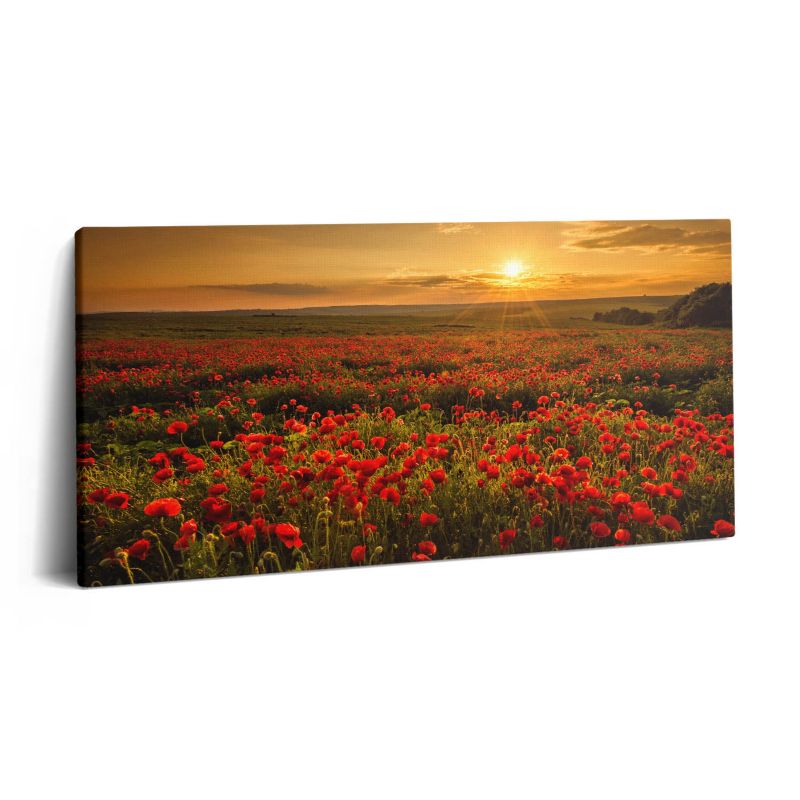 Obraz na płótnie Wallfluent 140x70 cm Pejzaż łąki kwiatów maków 1 szt.