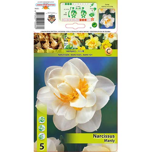 5 db, Nárcisz Manly - Hagymák: Mod de ambalare: 5 db