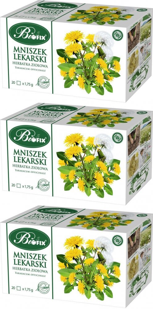 3x Herbata ziołowa w torebkach Bifix, mniszek lekarski, 20 sztuk x 1.75g