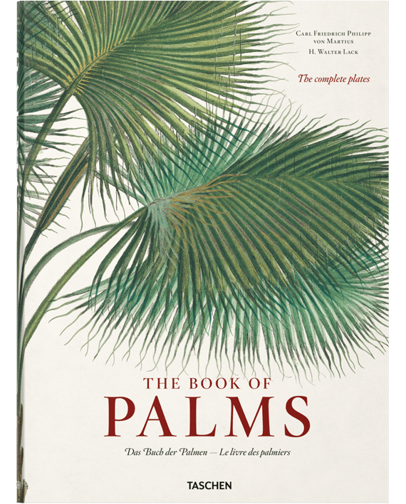 The Book of Palms. Von Martius