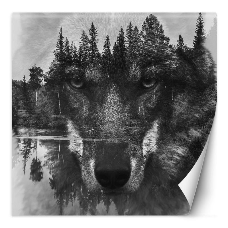 Fototapeta Feeby Wilk las we mgle jezioro 100x100 1 szt