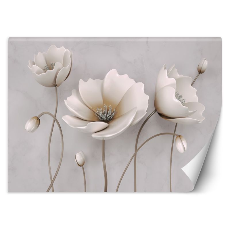 Fototapeta Feeby Abstrakcyjne kwiaty 3D 150x105 1 szt
