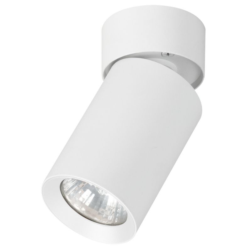 Oprawa sufitowa spot Alfa Flex biały 1 x GU10 x 10W IP20 wym: 9 x 6 x 6 cm - 1 szt.