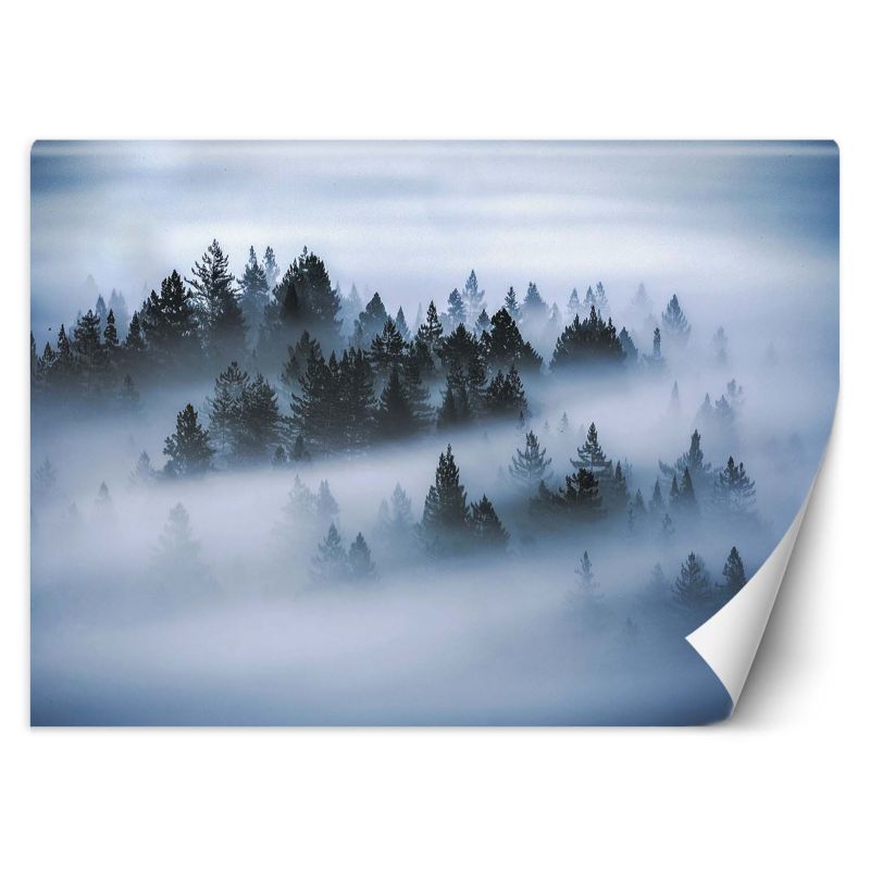 Fototapeta Feeby Las we mgle 368x254 1 szt