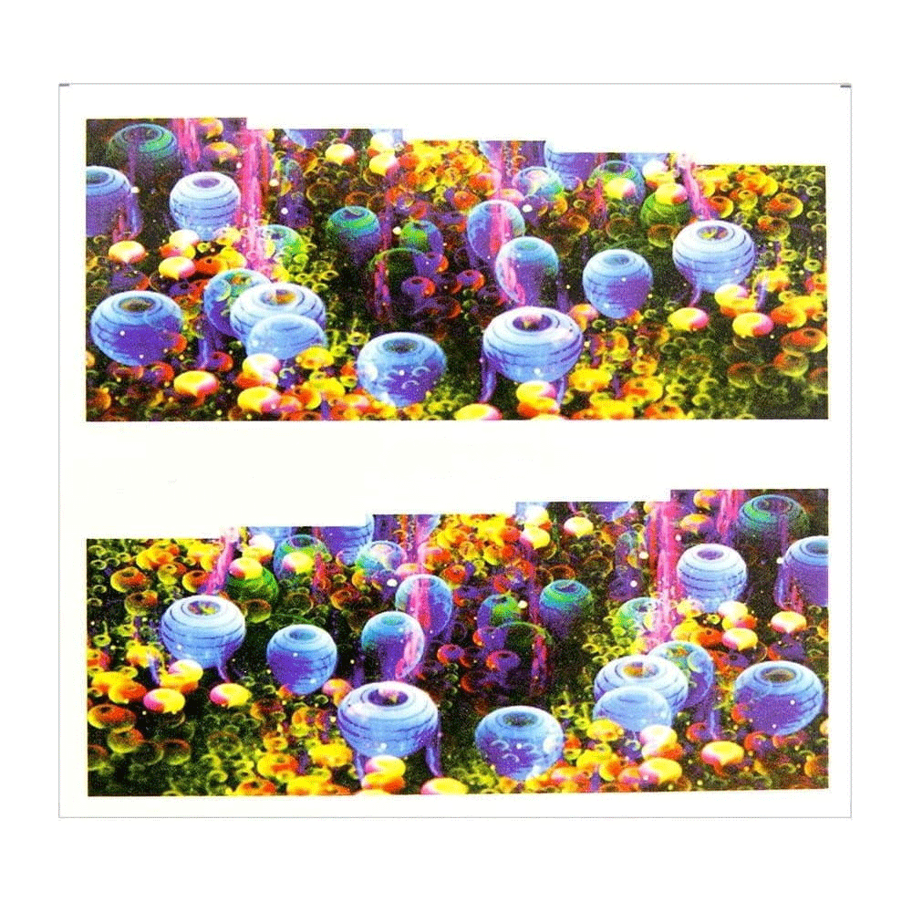 Naklejki wodne do paznokci arkusz 7 x 6,5 cm na 10 palców Nr c093