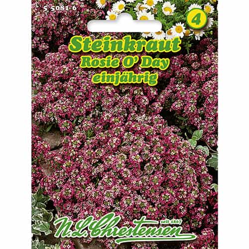 1 szt, Sziklaiternye Rosie O'Day - Magok: Mod de ambalare: 1 db