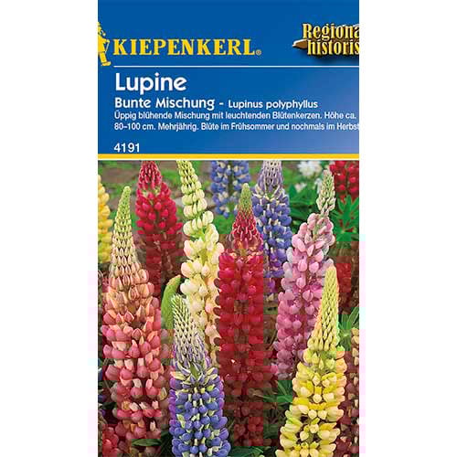 1 szt, Lupine dauerhaft, mix - Samen: Ilość w opakowaniu: 1 Stück