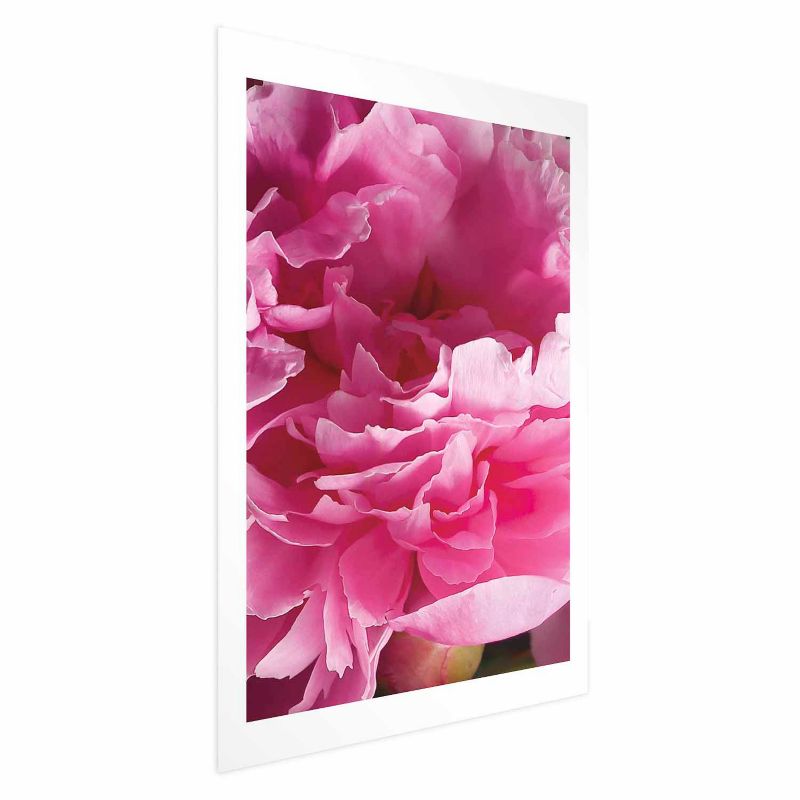 Plakat Artgeist Piękne piwonie 29,7x42 cm bez ramy 1 szt
