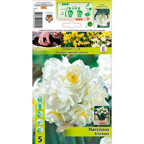 5 buc, Narcise Erlicheer - Bulbi: Mod de ambalare: 5 buc