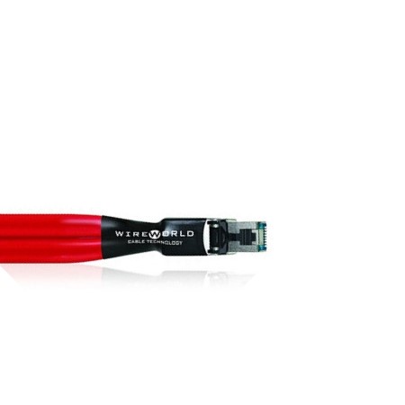 Wireworld starlight 8 (ste)