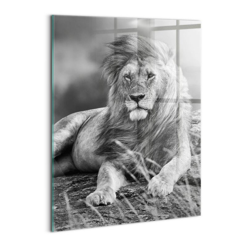 Foto Obraz Ścienny Szklany Wallfluent 60x80 cm Majestatyczne zwierzę lew 1 szt.