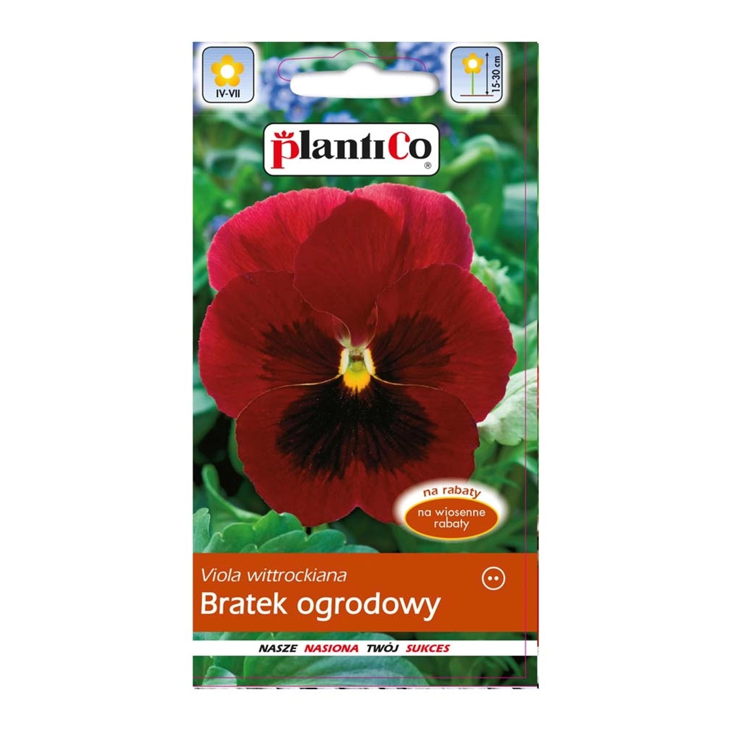 Bratek ogrodowy czerwony