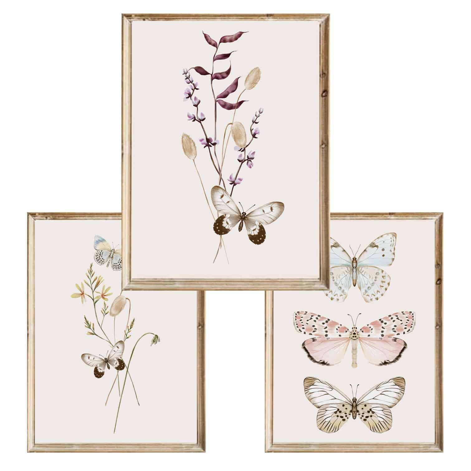 Zestaw trzech plakatów dla dzieci Butterflies and Wildflowers - A3
