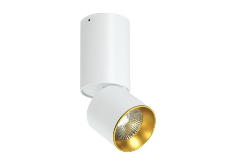 Oprawa sufitowa spot Polux Nixa biało-złoty 1 x GU10 x 10W IP20 wym: 15 x 6,2 cm - 1 szt.