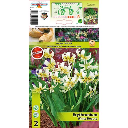 2 szt., Psiząb White Beauty - Cebule: Ilość w opakowaniu: 2 szt.