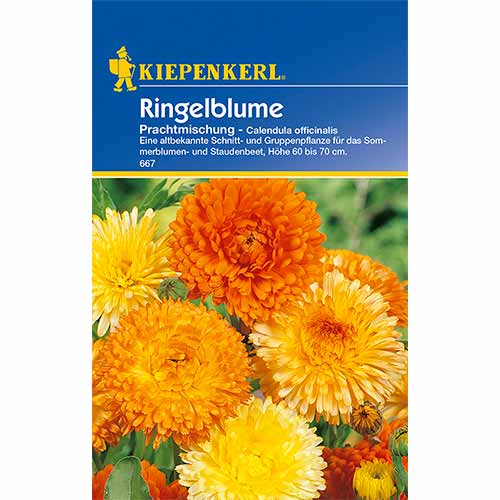 1 szt, Körömvirág Sunrise, mix Kiepenkerl - Magok: Mod de ambalare: 1 db