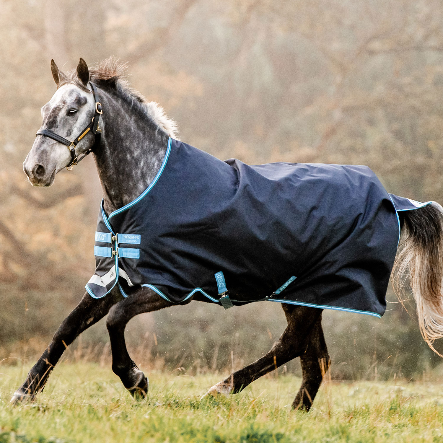 Horseware Horseware derka padokowa Amigo Bravo 12 50g 24h