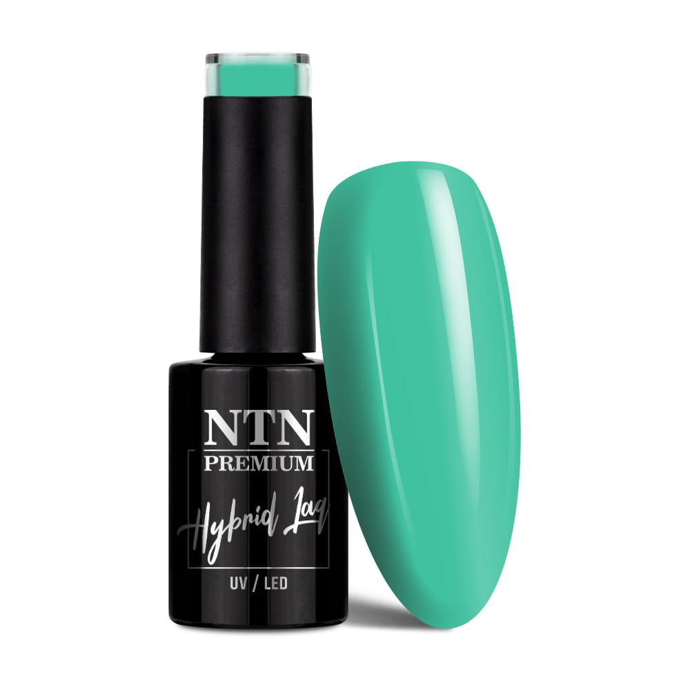 Lakier hybrydowy Ntn Premium Celebration Collection 5 g Nr 163