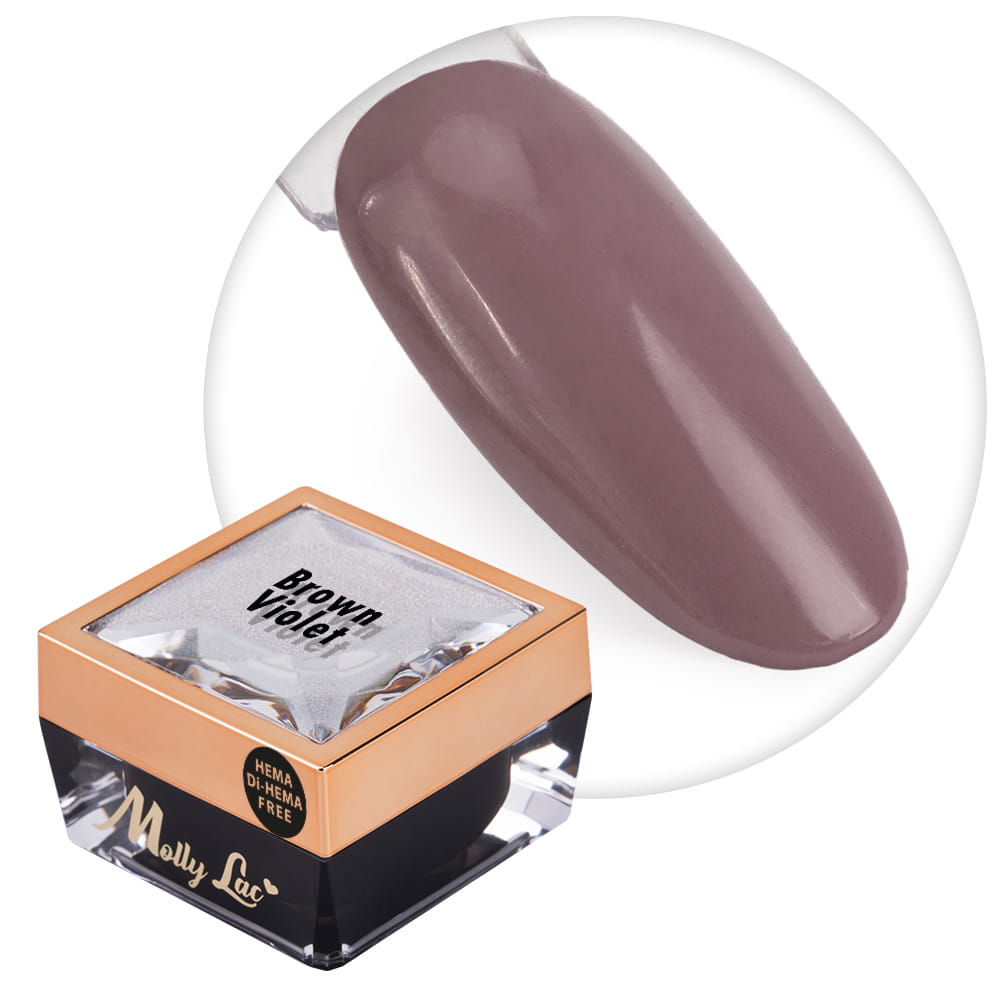 Żel do zdobień Ombre Gel paint gel ombre ornamenty MollyLac Brown Violet HEMA/Di-HEMA Free Nr 20 5g