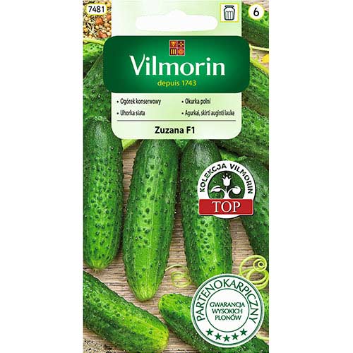 1 szt, Ogórek gruntowy Zuzanna F1 Vilmorin - Nasiona: Ilość w opakowaniu: 3 g