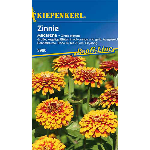 1 pac, Zinnia (Cârciumăreasă) Macarena Kiepenkerl - Semințe: Mod de ambalare: 1 pac