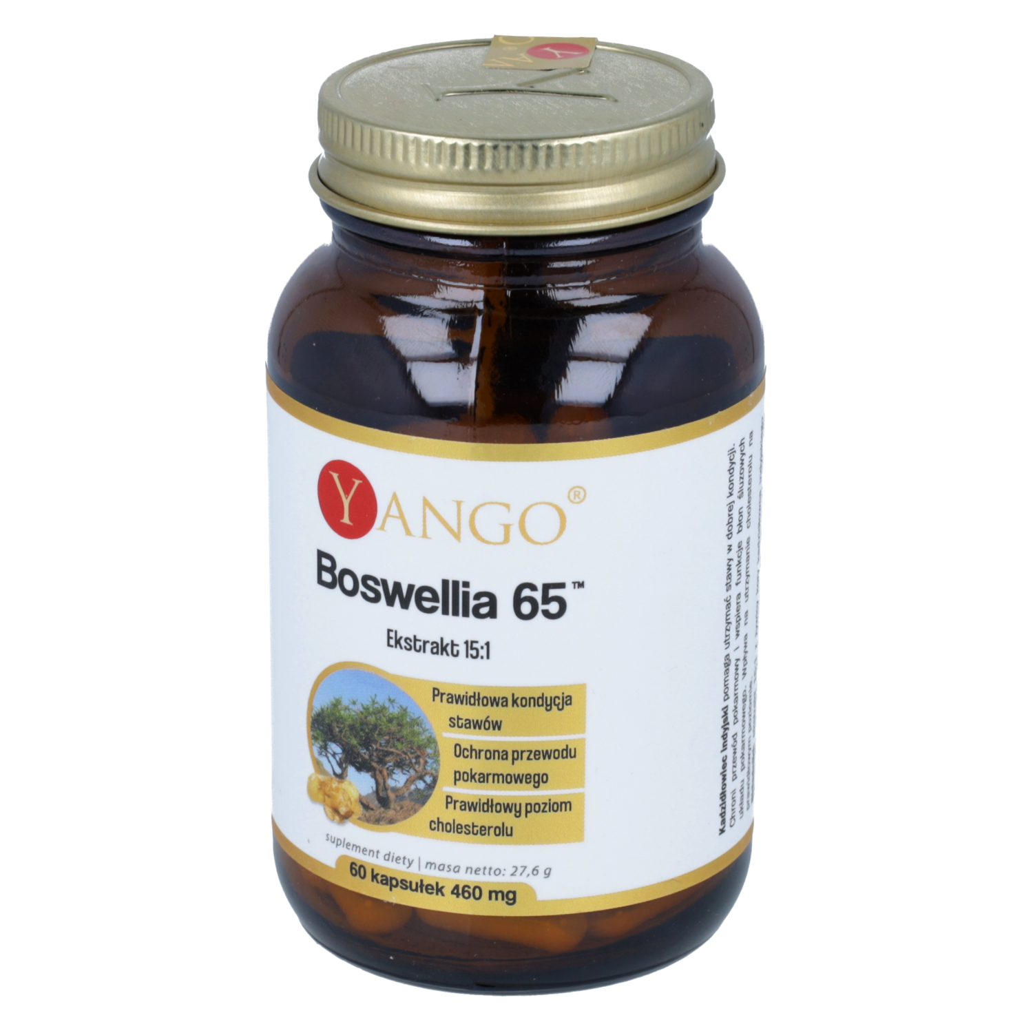 Yango boswellia 65, 60 kapsułek
