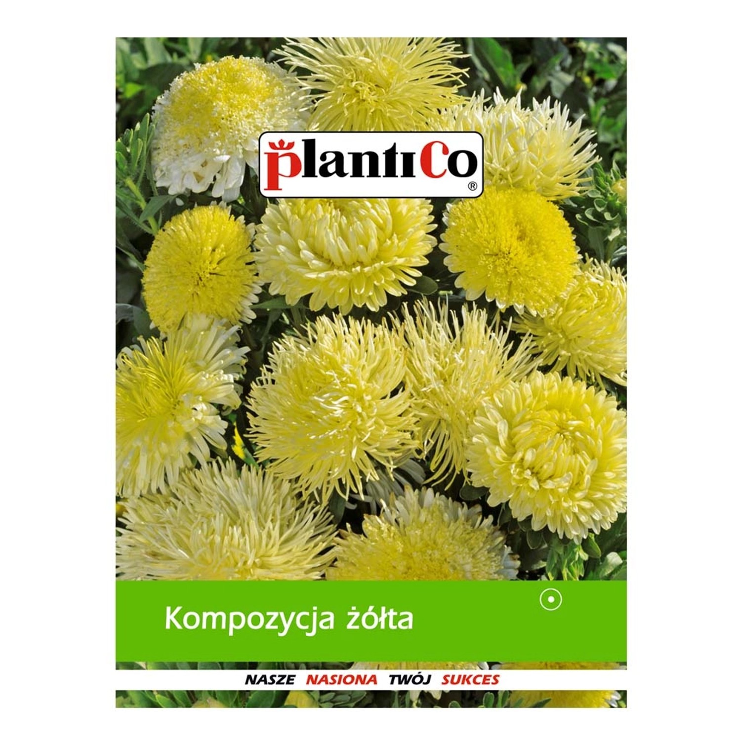 Kompozycja żółta