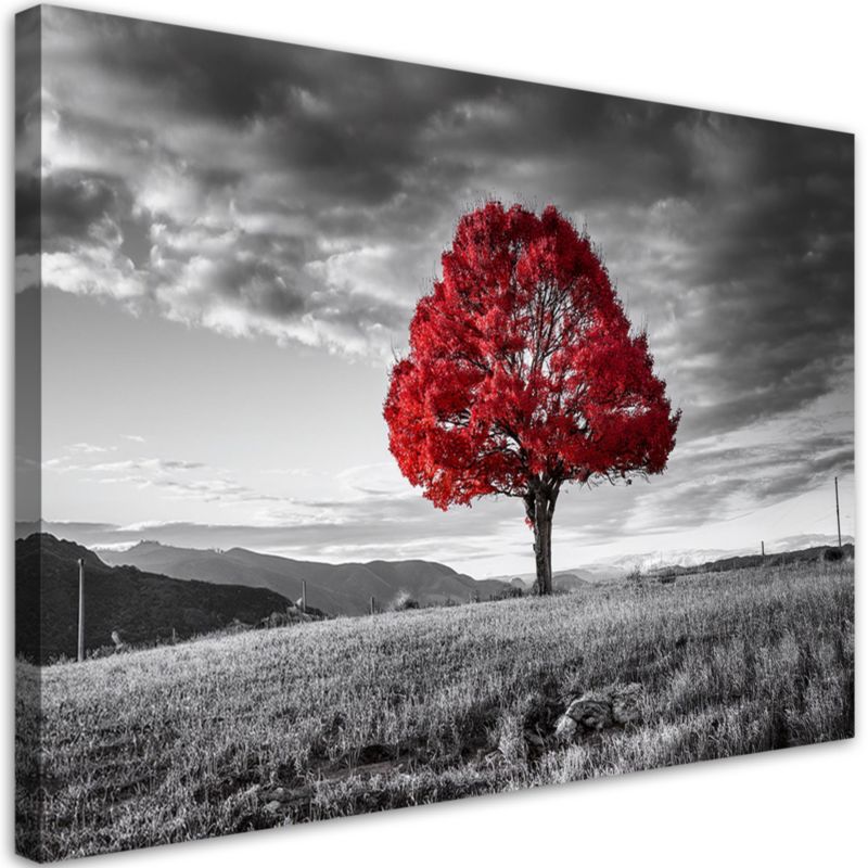 Obraz na płótnie Feeby Czerwone Drzewo na Łące Pejzaż 90x60cm 1szt