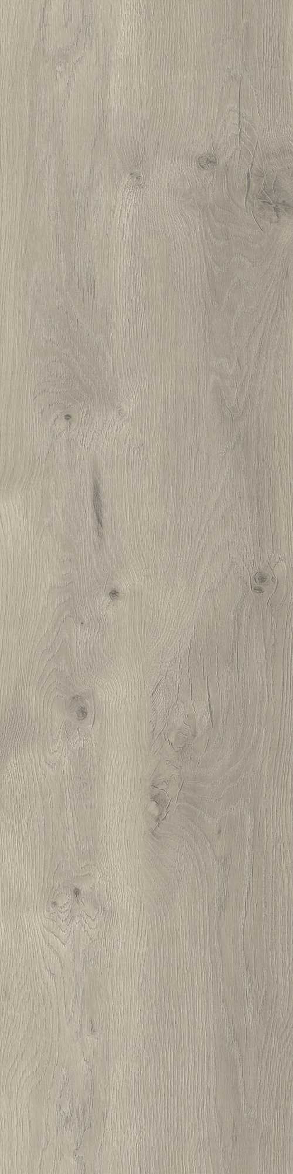 Stargres Taiga Grey płytka ścienno-podłogowa 30x120 cm