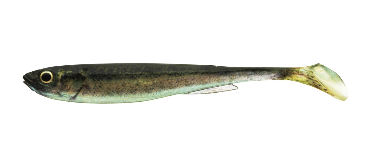 Daiwa Guma Prorex Real Slim Shad Live Baby Zander 13,5cm