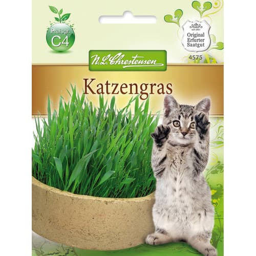 1 szt, Katzengras Chrestensen - Samen: Ilość w opakowaniu: 1 Stück