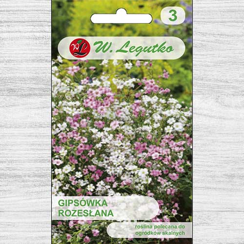 1 pac, Floarea miresei (Gypsophila) mix multicolor Legutko - Semințe: Mod de ambalare: 0.3 g