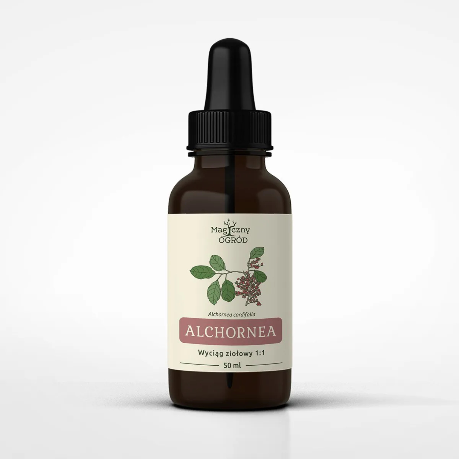 Nanga alchornea cordifolia 1:1, nalewka, 50 ml