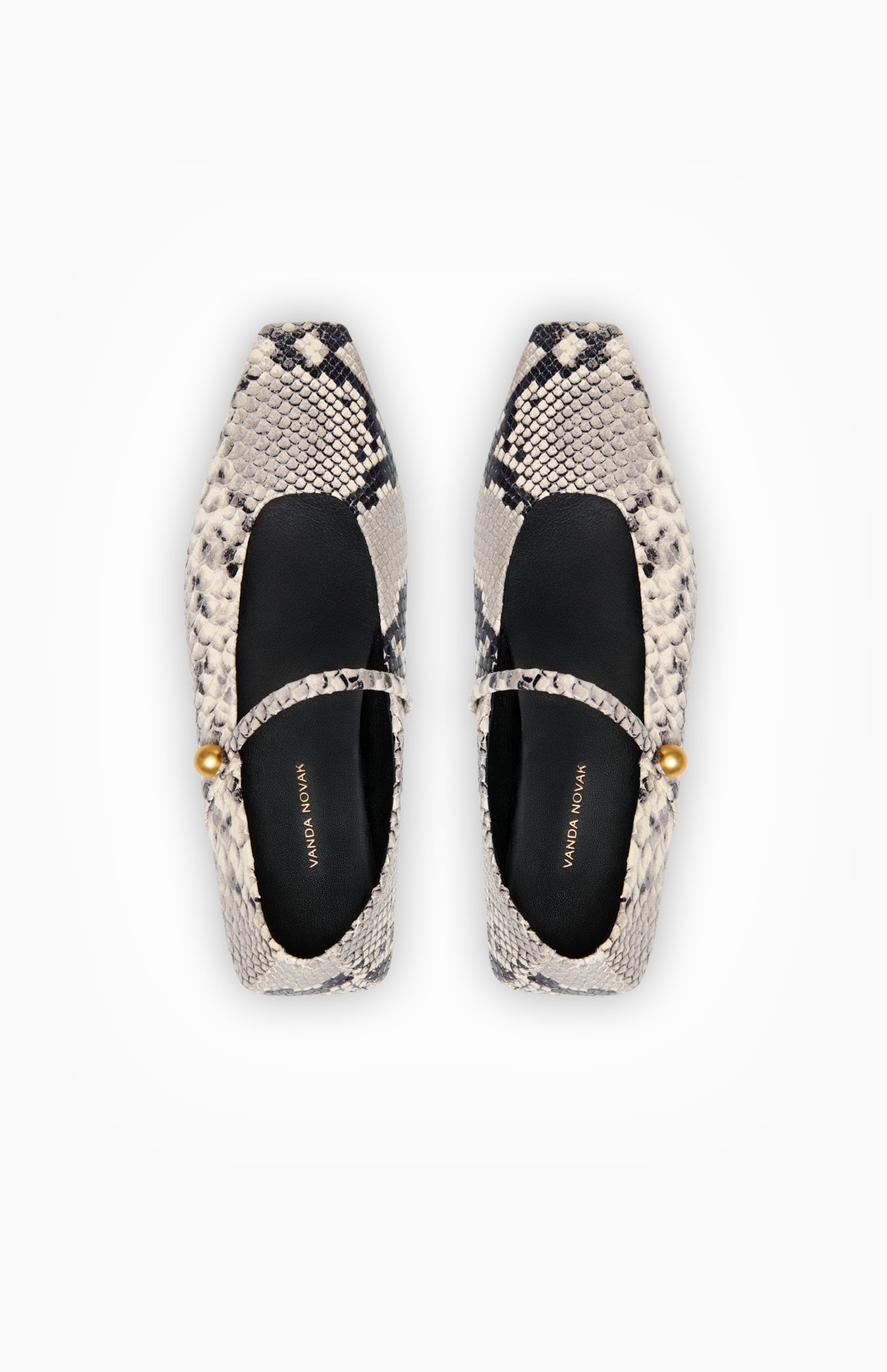 EVINA PYTHON GRAY 39 - Vanda Novak