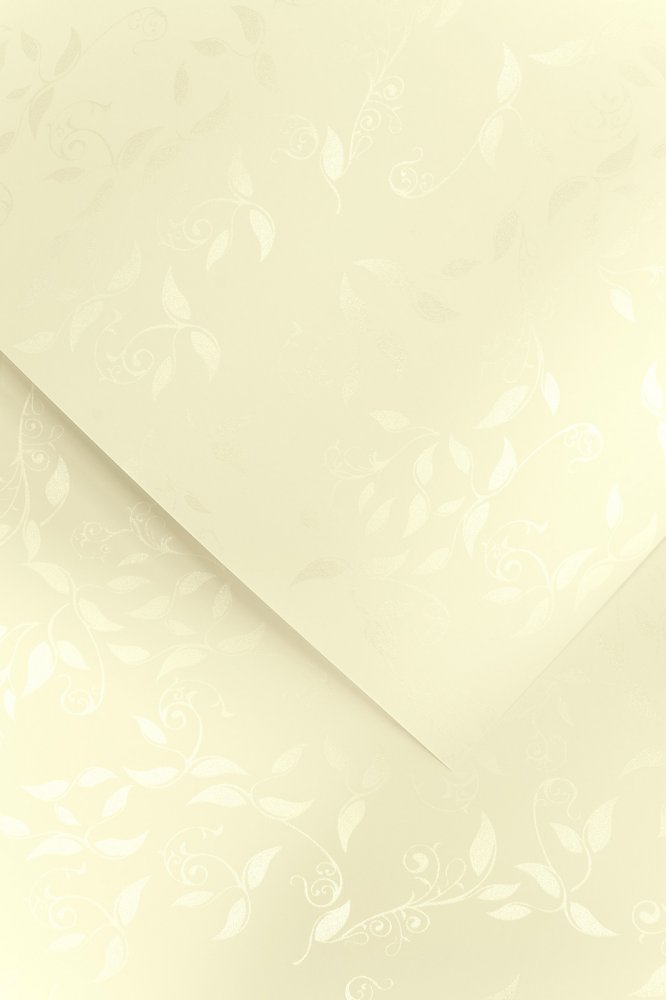 Papier ozdobny Galeria Papieru Liana, A4, 100g/m2, 50 arkuszy, kremowy