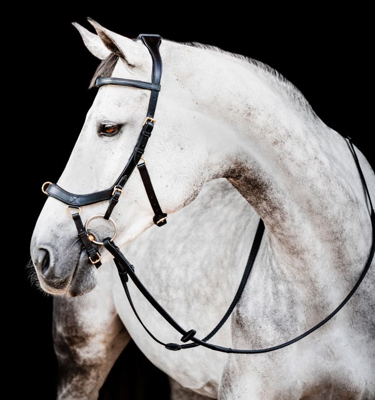 Horseware Horseware ogłowie Rambo Micklem 2 Multibridle, anatomiczne 24h