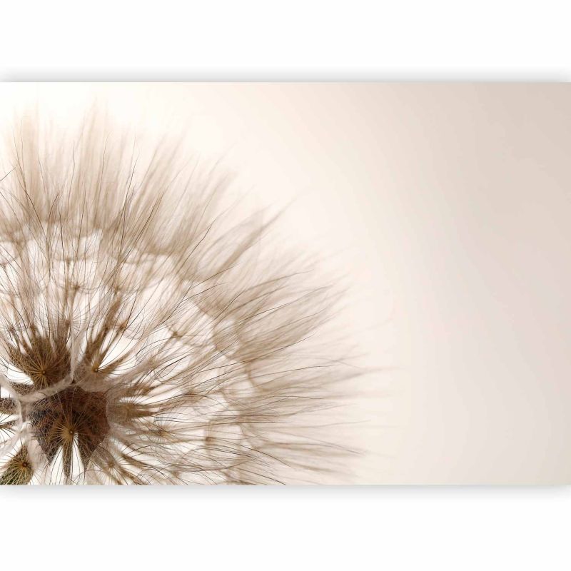 Fototapeta flizelinowa Artgeist 170 g/m2 wodoodporna Kwiaty beżowa 250x175 (5 części) 0667aa rolka 1 szt