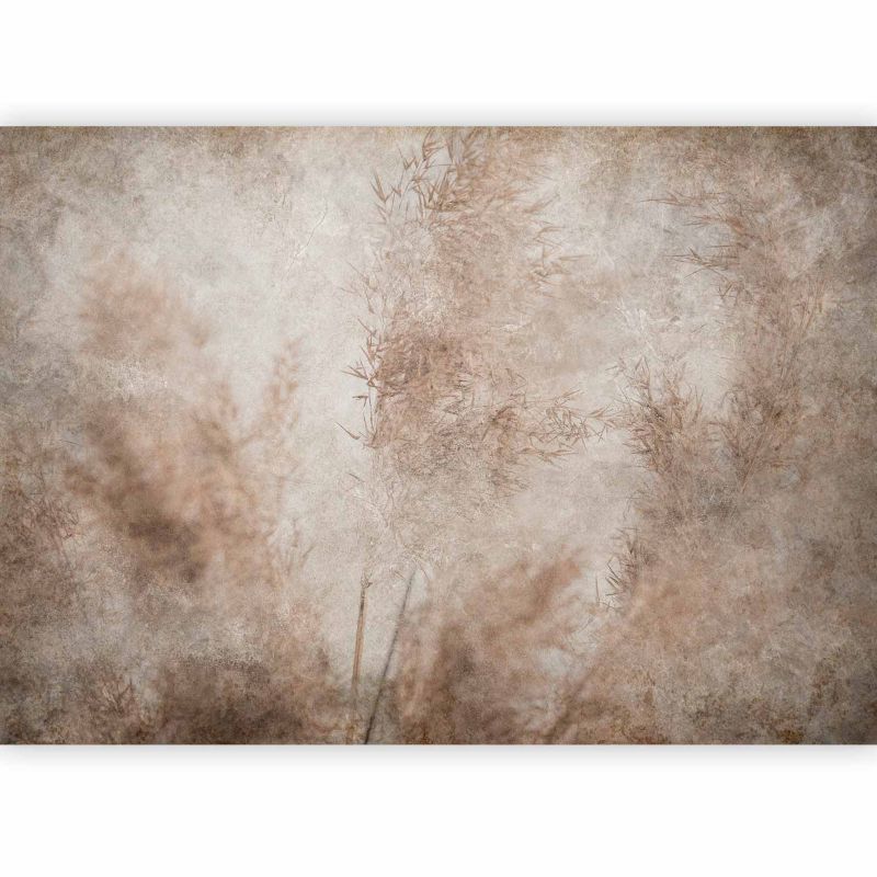 Fototapeta flizelinowa Premium Artgeist 155g/m2 Kwiaty beżowa 450x315 (9 części) 10050aa rolka 1 szt
