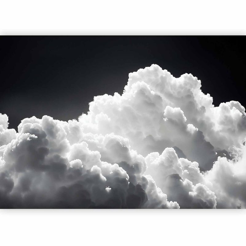 Fototapeta flizelinowa Premium Artgeist 155g/m2 Tła i desenie czarna 450x315 (9 części) 10042aa rolka 1 szt