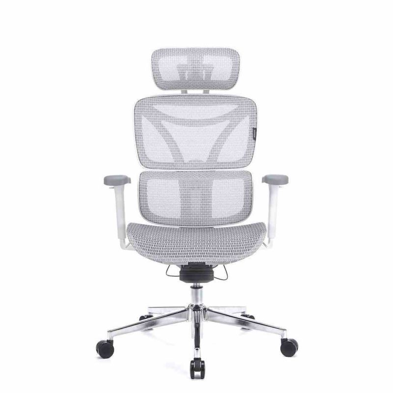 Fotel biurowy ergonomiczny LVNSystem Control Pro biały 1 szt.