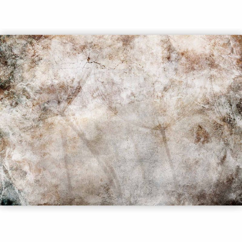 Fototapeta flizelinowa Premium Artgeist 155g/m2 Kwiaty szara 350x256 (7 części) 10027aa rolka 1 szt