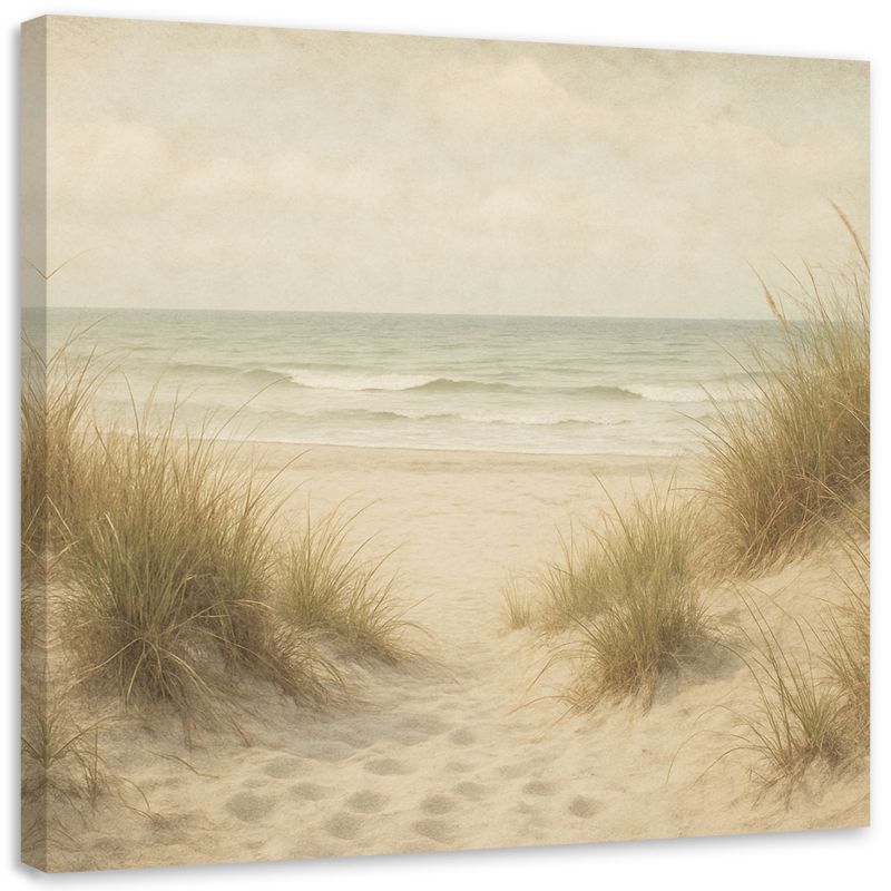 Obraz do salonu sypialni w stylu vintage Feeby Wydmy Plaża Krajobraz 60x60cm 1szt