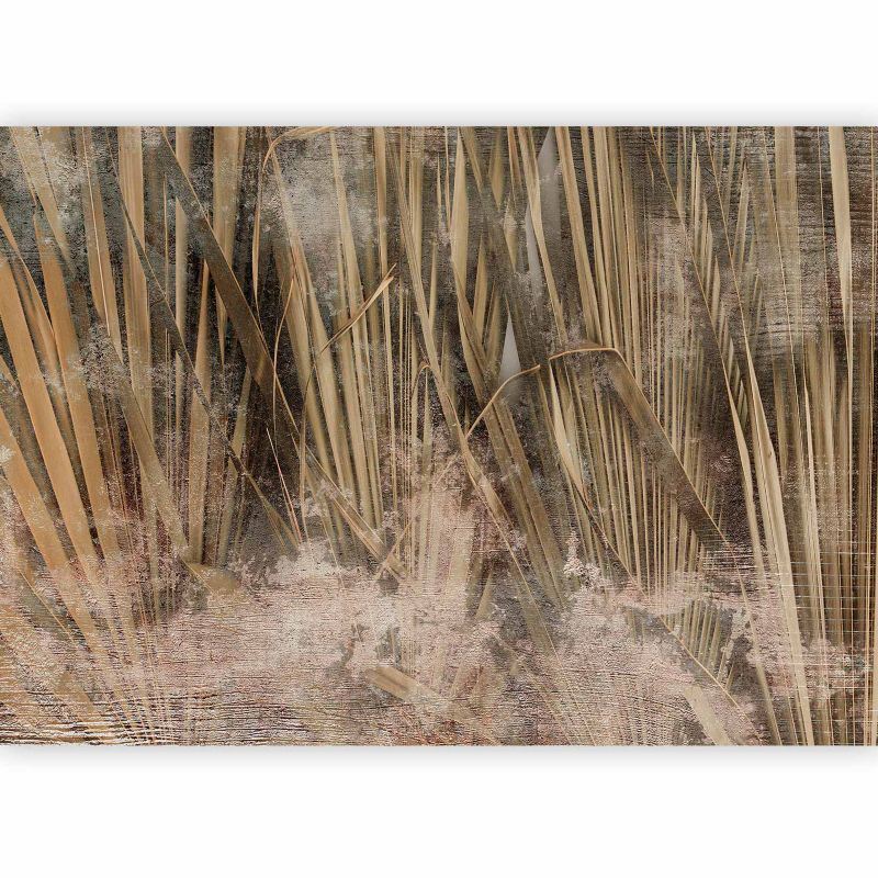Fototapeta flizelinowa Artgeist 110g/m2 Tła i desenie beżowa 100x70 (2 części) 10008aa rolka 1 szt